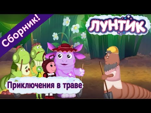 Видео: Лунтик 🌼 Приключения в траве 🌼 Сборник мультфильмов 2017