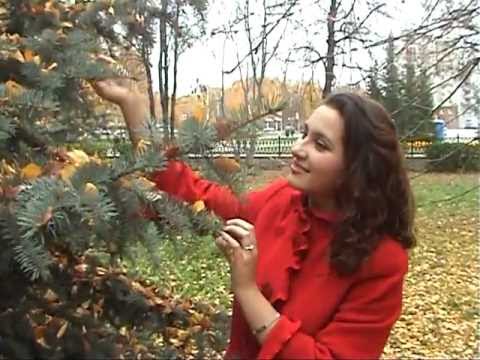 Видео: Красивая чувашская песня. Исполняет  Антонова  Наталья