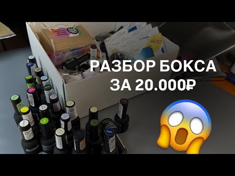 Видео: 8 октября 2024 г.