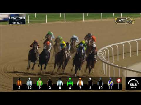 Видео: Скачки. Al Maktoum Challenge. Великолепная победа Кабирхана