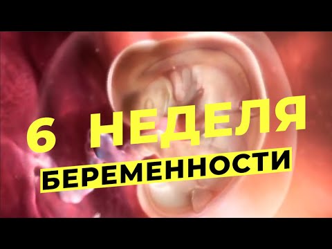 Видео: 6 НЕДЕЛЯ БЕРЕМЕННОСТИ Ощущения, Что происходит, Что можно и Нельзя