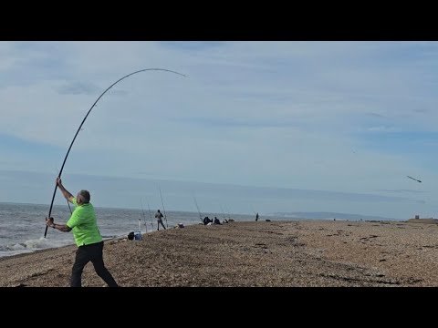 Видео: Наживка на треску, большие приливы и много рыбы