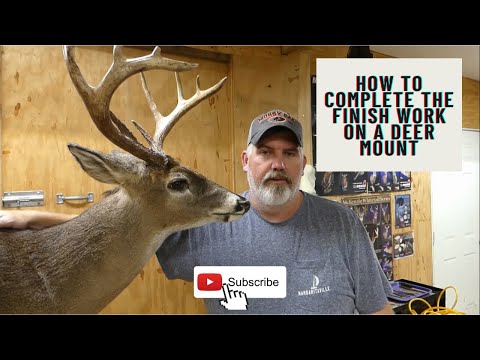 Видео: Как завершить отделку оленьей туши