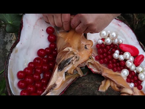 Видео: Неожиданное богатство! Вековой красный моллюск, в его теле нашли сверкающий красный жемчуг