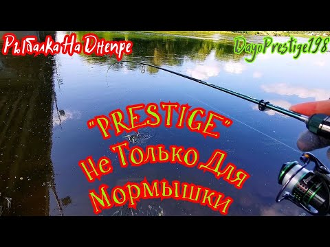 Видео: "PRESTIGE" НЕ ТОЛЬКО ДЛЯ МОРМЫШКИ РЫБАЛКА НА ДНЕПРЕ РЫБАЛКА НА СПИННИНГ DAYO PRESTIGE 198