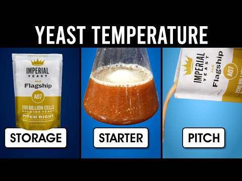 Видео: Температура дрожжей — хранение, закваски и закваска | exBEERiments