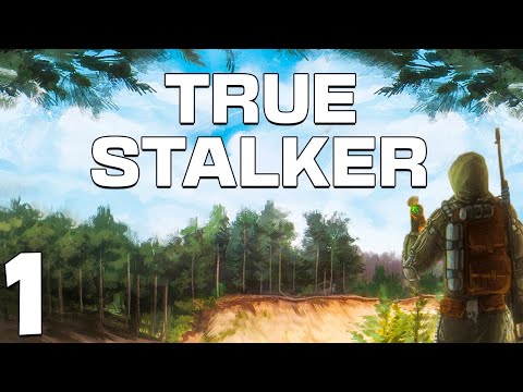 Видео: S.T.A.L.K.E.R. True Stalker #1. Настоящий Сталкер