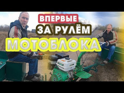 Видео: AURORA 1400 ПОКАТУШКИ ПО ГРЯЗИ , дал Папе порулить на мотоблоке