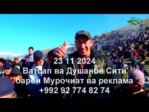 Видео: Бузкашии д Сучина вокеь д Дашти Малла 23 11 2024 кисми 2