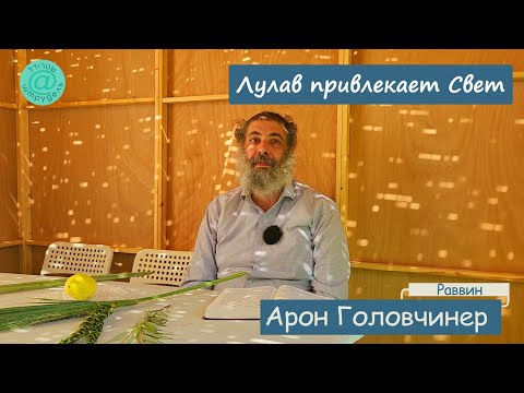 Видео: Штрудель не для всех: лулав привлекает свет