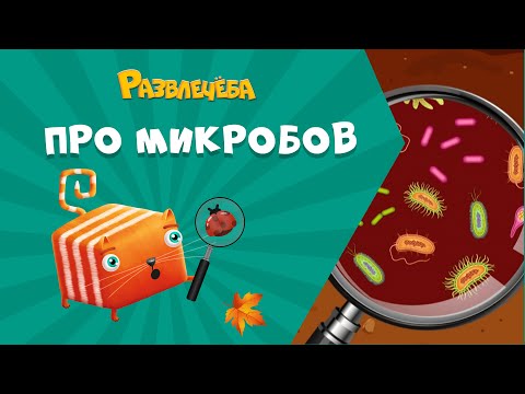 Видео: Развлечёба. Окружающий мир. Про микробов