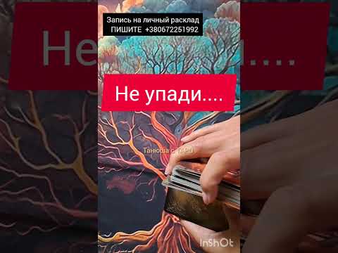 Видео: 🤗Между вами... таро гадание #таро #гадание #отношения #ворожіння #tarot #tarotcards 