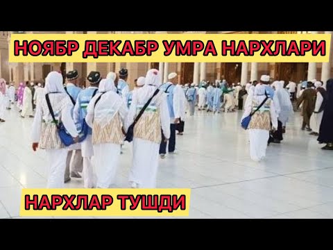 Видео: УМРА НАРХЛАРИ ТУШДИ! ЯНГИ НАРХЛАР НОЯБР ДЕКАБРГА 