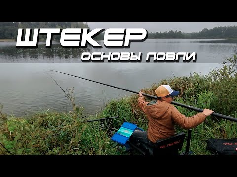 Видео: Курсы молодого поплавочника. Общие вопросы штекерной ловли.