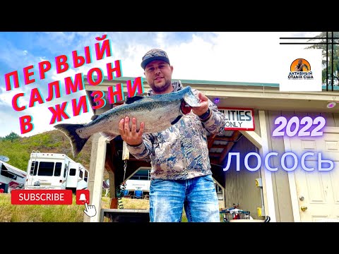 Видео: Поймал лосось после многих попыток. I caught a salmon after many try’s. #лосось#рыбалка#Америка