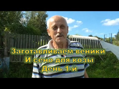 Видео: Заготовка веников и сена для козы. Покос травы на сено День 1 й