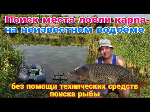 Видео: Где ловить карпа на неизвестном водоеме. Тактика поиска места ловли карпа и амура без эхолота.