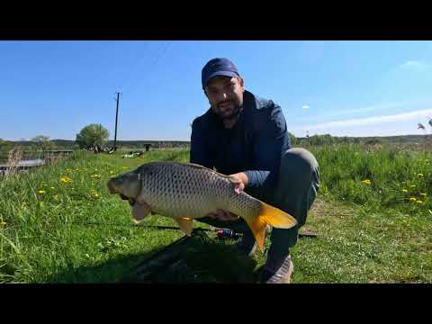 Видео: МЕТОД МІКС чи ГОРОХОВА МАСТИРКА. Що краще працює?