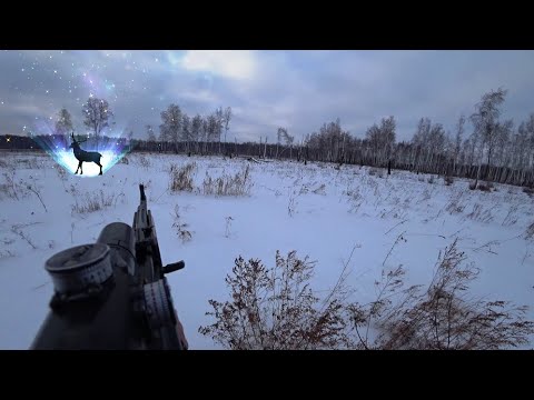 Видео: Охота на Сибирскую косулю, с карабином Вепрь 223