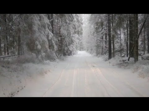 Видео: Рыбалка в Ленобласти #12 Оз.Глубокое