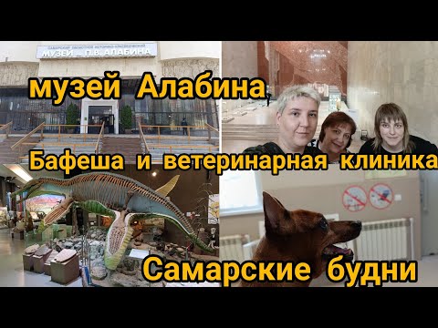 Видео: Музей Алабина. Попали под ливень. У Бафёши распухла морда, посетили ветеринарку. Самарские будни.