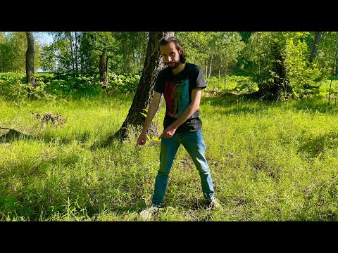 Видео: БЕЛЫЕ ГРИБЫ ПОШЛИ ПОЛЯНАМИ В ИЮНЕ! ГРИБНИКИ НАПАЛИ НА ГРИБНОЙ СЛЕД! Грибы 2023