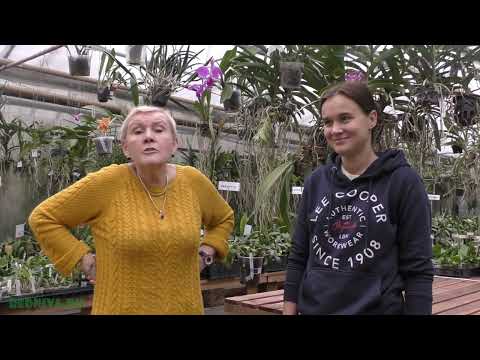 Видео: В гостях у наших соседей. Импортфлора.