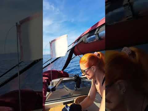 Видео: Sail & Tail в прямом эфире!Добро пожаловать на дневной выход в море!