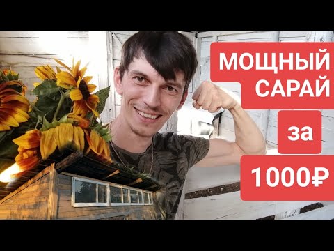 Видео: СОСЕДИ негодуют, а я СТРОЮ. МОЩНЫЙ САРАЙ за 1000 рублей!👌