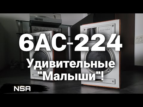 Видео: 6АС-224 (10АС-225) – Удивляющая Акустика СССР! Обзор советской полочной акустики на 2ГД-36!