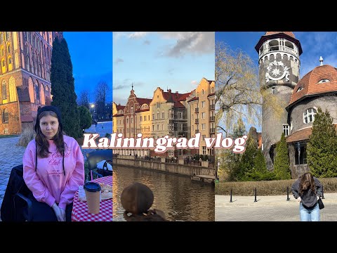 Видео: Kaliningrad: день рождения, Светлогорск, Зеленоградск 🤎🧺