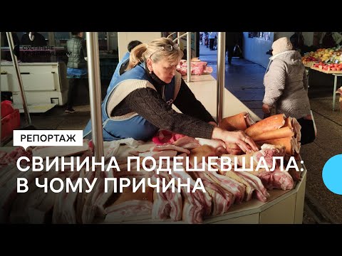 Видео: На Кіровоградщині подешевшала свинина. Що на це вплинуло та яку ціну прогнозують далі