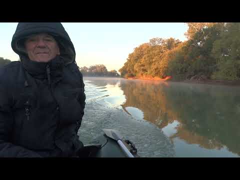 Видео: Рыбалка на Кубани 2023 в октябре Американский сом с лодки на драголины