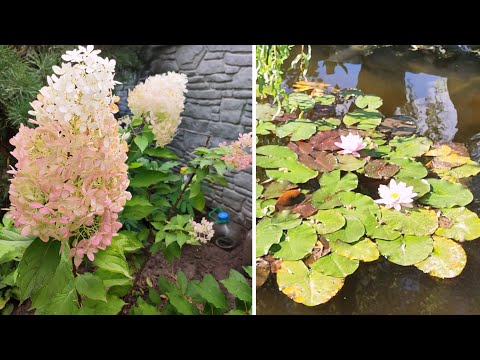 Видео: Лавки для альтанки!Зацвіли колхікуми(пізньоцвіти).