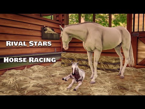 Видео: Rival Stars Horse Racing. Офигенный серый жеребенок! Создаю своего Real Dream в игре!