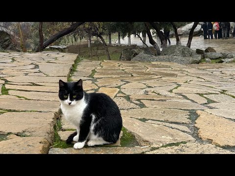 Видео: Азербайджан начало декабря 2024.