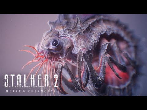 Видео: STALKER 2 ЛЮТОЕ ГОВНО !