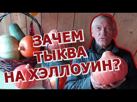 Видео: ЗАЧЕМ НУЖНА ТЫКВА НА ХЭЛЛОУИН?