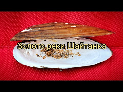 Видео: Золото Реки Шайтанка