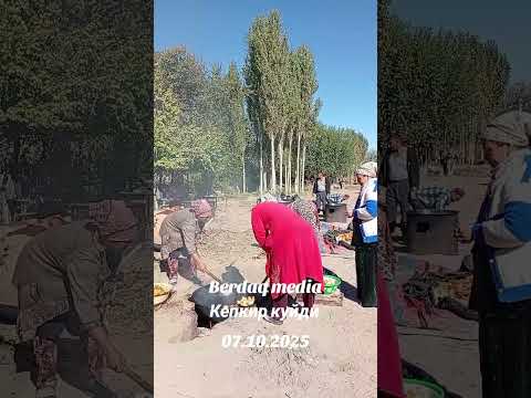 Видео: Кепкир куйди