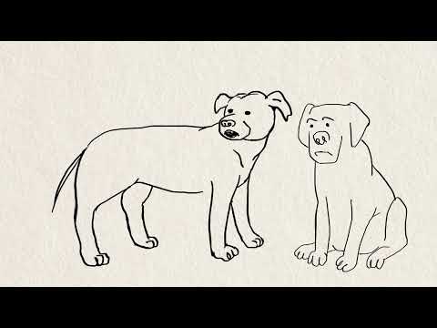 Видео: Собачья Жизнь. Поздравление с юбилеем Маши Слоним