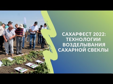 Видео: Сахарфест 2022: технологии возделывания сахарной свеклы