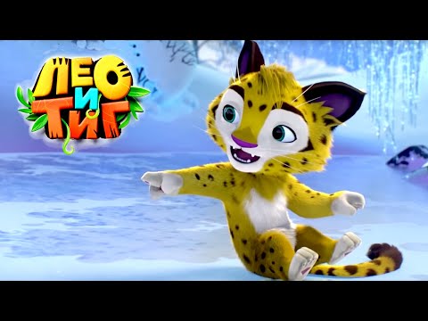 Видео: Лео и Тиг - Зима - Новый сборник - Мультики для детей