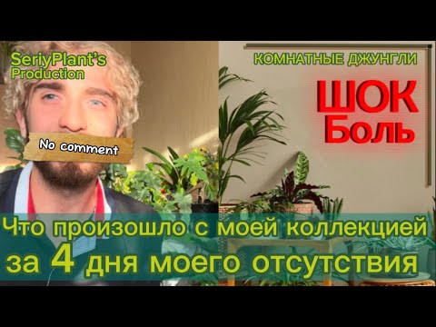 Видео: Шок контент - потерял растения в коллекции