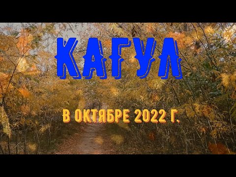 Видео: С Лёшкою прогулки. Кагул  Октябрь 2022
