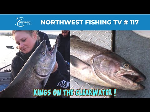 Видео: Слияние рек Снейк-Клируотер | Northwest Fishing TV #117