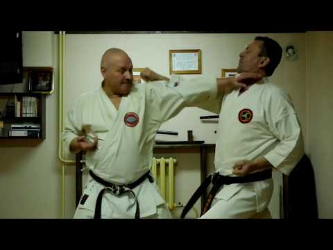 Видео: Шуто: самая красивая техника карате. Часть 1. Учи.