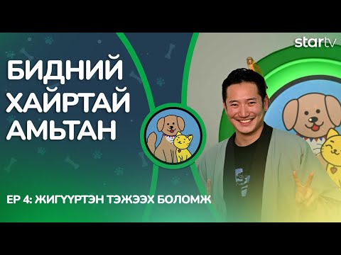 Видео: "Бидний хайртай амьтан" | Жигүүртэн тэжээх мөрөөдөл биелэх боломжтой юу ?