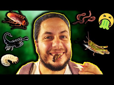 Видео: ЯДОХ ХЛЕБАРКИ / РЕСТОРАНТ СЪС ЗВЕЗДА МИШЛЕН 😱😖🦂🦗⭐️