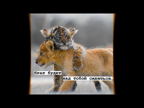 Видео: Лучшая подборка цитат | грустные, крутые, смешные цитаты | #58 | Best selection of quotes